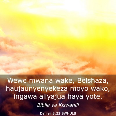 Picture 03 - Danieli 5:22 SWHULB - Wewe mwana wake, Belshaza, haujaunyenyekeza moyo - Bible Verse Picture