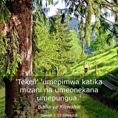 Picture 03 - Danieli 5:27 SWHULB - 'Tekeli' 'umepimwa katika mizani na umeonekana - Bible Verse Picture