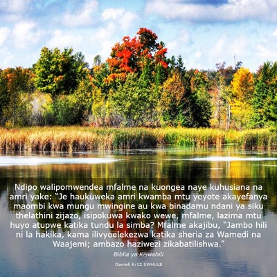 Picture 03 - Danieli 6:12 SWHULB - Ndipo walipomwendea mfalme na kuongea naye - Bible Verse Picture