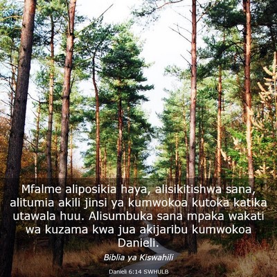 Picture 03 - Danieli 6:14 SWHULB - Mfalme aliposikia haya, alisikitishwa sana, - Bible Verse Picture