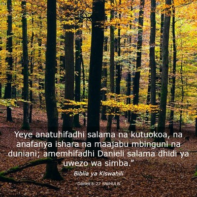 Picture 03 - Danieli 6:27 SWHULB - Yeye anatuhifadhi salama na kutuokoa, na anafanya - Bible Verse Picture