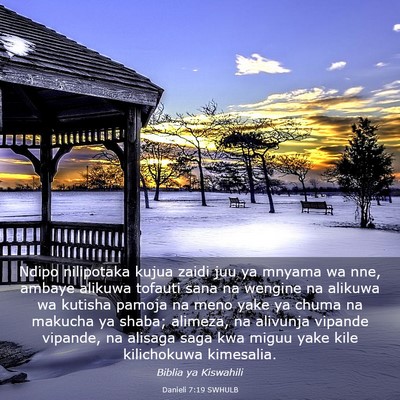 Picture 03 - Danieli 7:19 SWHULB - Ndipo nilipotaka kujua zaidi juu ya mnyama wa - Bible Verse Picture
