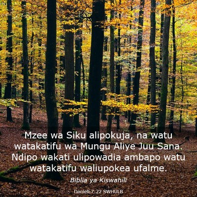 Picture 03 - Danieli 7:22 SWHULB - Mzee wa Siku alipokuja, na watu watakatifu wa - Bible Verse Picture