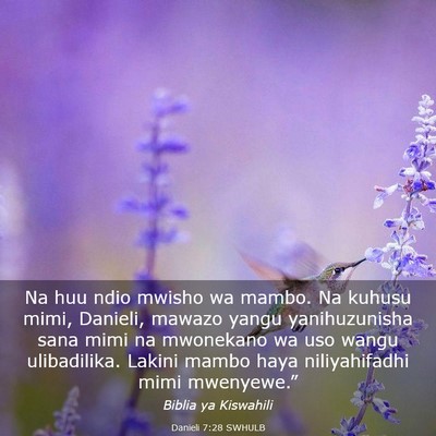 Picture 03 - Danieli 7:28 SWHULB - Na huu ndio mwisho wa mambo. Na kuhusu mimi, - Bible Verse Picture