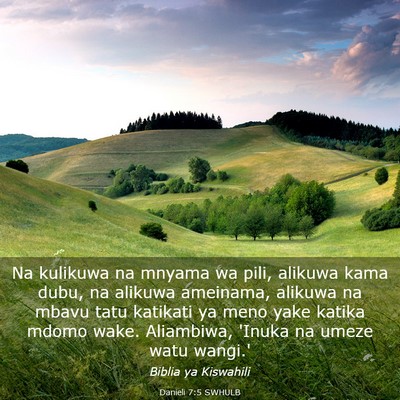 Picture 03 - Danieli 7:5 SWHULB - Na kulikuwa na mnyama wa pili, alikuwa kama dubu, - Bible Verse Picture