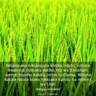 Picture 03 - Danieli 8:2 SWHULB - Nilipokuwa nikiangalia katika ndoto, niliona - Bible Verse Picture