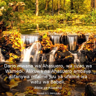 Picture 03 - Danieli 9:1 SWHULB - Dario mwana wa Ahasuero, wa uzao wa Wamedi. - Bible Verse Picture