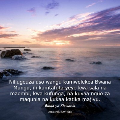 Picture 03 - Danieli 9:3 SWHULB - Niliugeuza uso wangu kumwelekea Bwana Mungu, ili - Bible Verse Picture