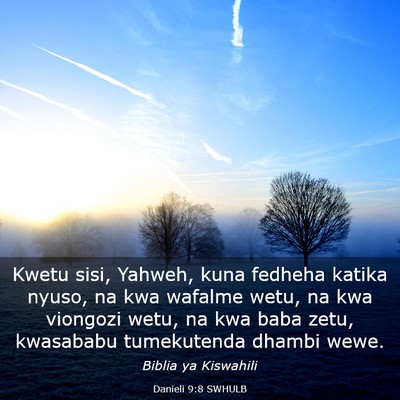 Picture 03 - Danieli 9:8 SWHULB - Kwetu sisi, Yahweh, kuna fedheha katika nyuso, na - Bible Verse Picture