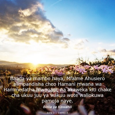 Picture 03 - Esta 3:1 SWHULB - Baada ya mambo haya, Mfalme Ahusiero alimpandisha - Bible Verse Picture