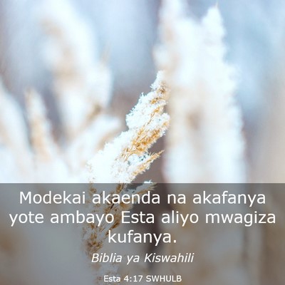 Picture 03 - Esta 4:17 SWHULB - Modekai akaenda na akafanya yote ambayo Esta - Bible Verse Picture