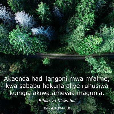 Picture 03 - Esta 4:2 SWHULB - Akaenda hadi langoni mwa mfalme; kwa sababu - Bible Verse Picture