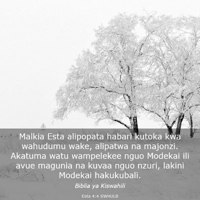 Picture 03 - Esta 4:4 SWHULB - Malkia Esta alipopata habari kutoka kwa wahudumu - Bible Verse Picture
