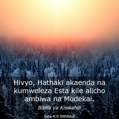 Picture 03 - Esta 4:9 SWHULB - Hivyo, Hathaki akaenda na kumweleza Esta kile - Bible Verse Picture