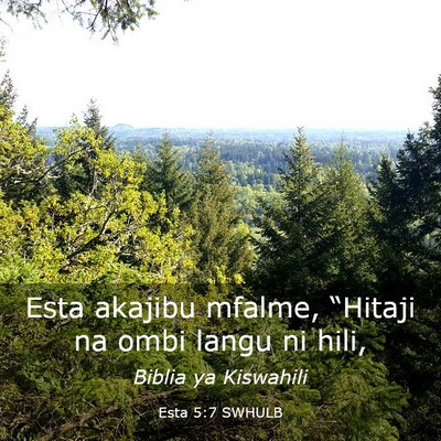 Picture 03 - Esta 5:7 SWHULB - Esta akajibu mfalme, “Hitaji na ombi langu ni - Bible Verse Picture