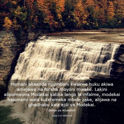 Picture 03 - Esta 5:9 SWHULB - Hamani akaenda nyumbani kwakwe huku akiwa amejawa - Bible Verse Picture