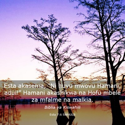 Picture 03 - Esta 7:6 SWHULB - Esta akasema, “Ni huyu mwovu Hamani, adui!” - Bible Verse Picture