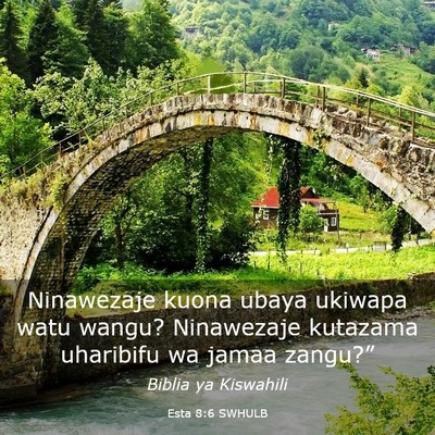 Picture 03 - Esta 8:6 SWHULB - Ninawezaje kuona ubaya ukiwapa watu wangu? - Bible Verse Picture