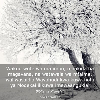 Picture 03 - Esta 9:3 SWHULB - Wakuu wote wa majimbo, maakida na magavana, na - Bible Verse Picture