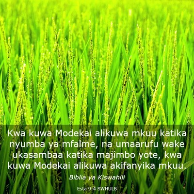 Picture 03 - Esta 9:4 SWHULB - Kwa kuwa Modekai alikuwa mkuu katika nyumba ya - Bible Verse Picture