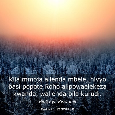 Picture 03 - Ezekieli 1:12 SWHULB - Kila mmoja alienda mbele, hivyo basi popote Roho - Bible Verse Picture