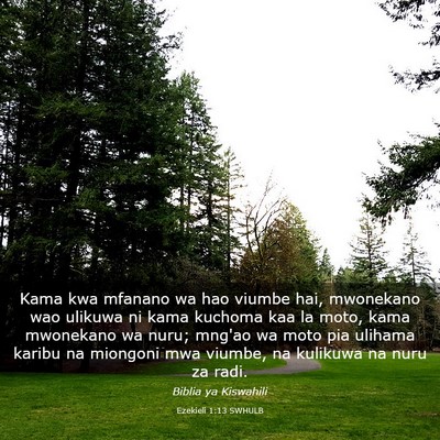 Picture 03 - Ezekieli 1:13 SWHULB - Kama kwa mfanano wa hao viumbe hai, mwonekano wao - Bible Verse Picture