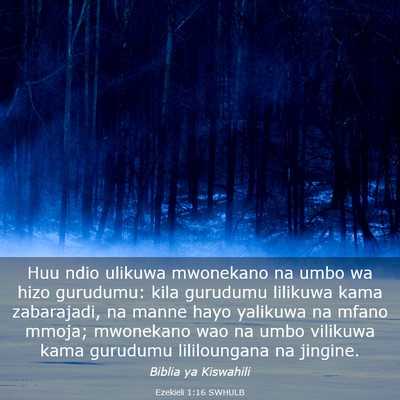 Picture 03 - Ezekieli 1:16 SWHULB - Huu ndio ulikuwa mwonekano na umbo wa hizo - Bible Verse Picture