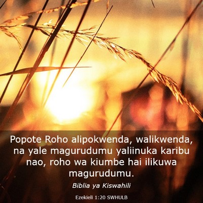 Picture 03 - Ezekieli 1:20 SWHULB - Popote Roho alipokwenda, walikwenda, na yale - Bible Verse Picture