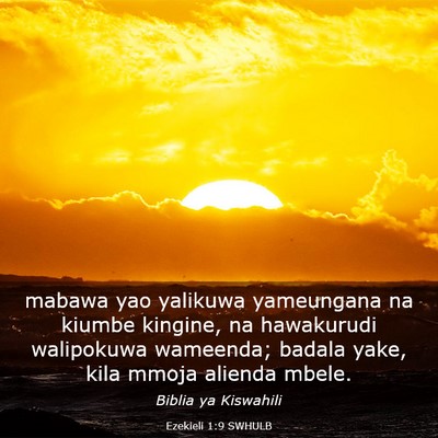 Picture 03 - Ezekieli 1:9 SWHULB - mabawa yao yalikuwa yameungana na kiumbe kingine, - Bible Verse Picture
