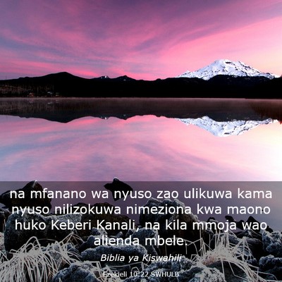 Picture 03 - Ezekieli 10:22 SWHULB - na mfanano wa nyuso zao ulikuwa kama nyuso - Bible Verse Picture