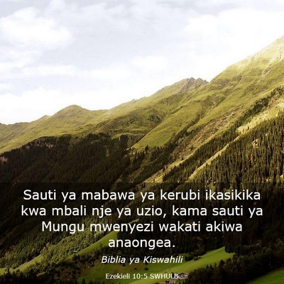 Picture 03 - Ezekieli 10:5 SWHULB - Sauti ya mabawa ya kerubi ikasikika kwa mbali nje - Bible Verse Picture