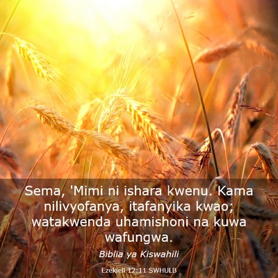 Picture 03 - Ezekieli 12:11 SWHULB - Sema, 'Mimi ni ishara kwenu. Kama nilivyofanya, - Bible Verse Picture