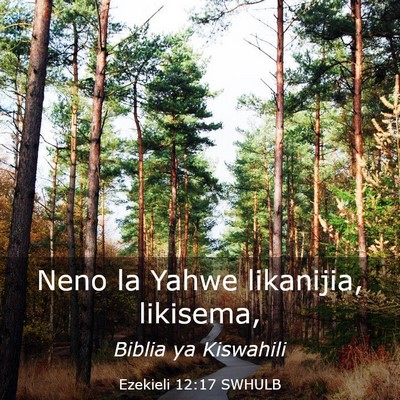 Picture 03 - Ezekieli 12:17 SWHULB - Neno la Yahwe likanijia, - Bible Verse Picture