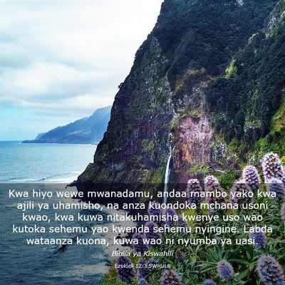 Picture 03 - Ezekieli 12:3 SWHULB - Kwa hiyo wewe mwanadamu, andaa mambo yako kwa - Bible Verse Picture