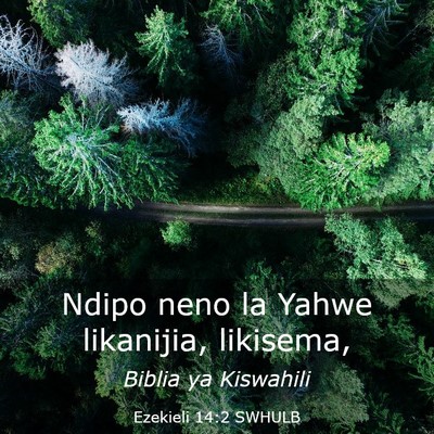Picture 03 - Ezekieli 14:2 SWHULB - Ndipo neno la Yahwe likanijia, - Bible Verse Picture
