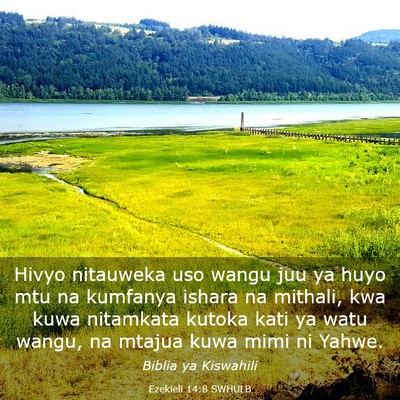 Picture 03 - Ezekieli 14:8 SWHULB - Hivyo nitauweka uso wangu juu ya huyo mtu na - Bible Verse Picture