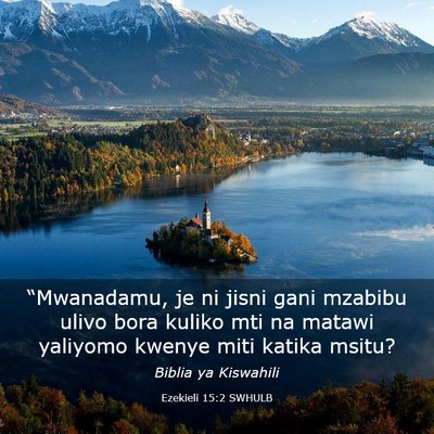 Picture 03 - Ezekieli 15:2 SWHULB - “Mwanadamu, je ni jisni gani mzabibu ulivo bora - Bible Verse Picture