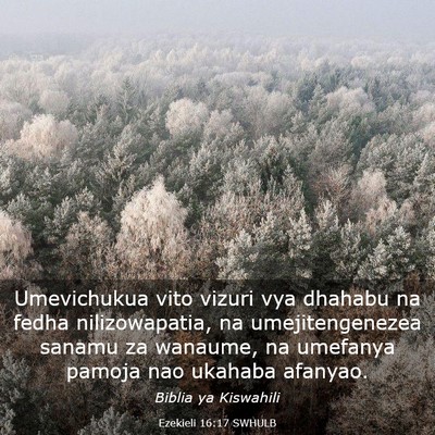 Picture 03 - Ezekieli 16:17 SWHULB - Umevichukua vito vizuri vya dhahabu na fedha - Bible Verse Picture