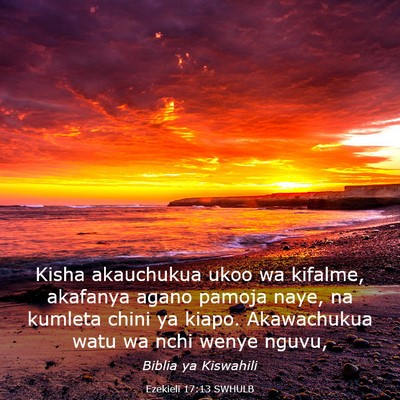 Picture 03 - Ezekieli 17:13 SWHULB - Kisha akauchukua ukoo wa kifalme, akafanya agano - Bible Verse Picture