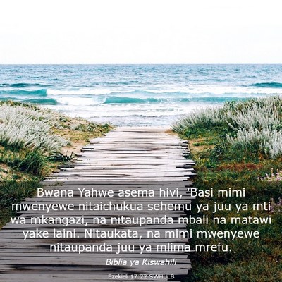 Picture 03 - Ezekieli 17:22 SWHULB - Bwana Yahwe asema hivi, 'Basi mimi mwenyewe - Bible Verse Picture
