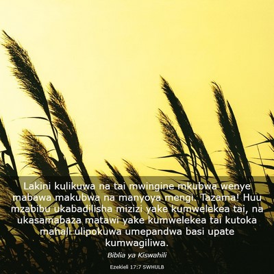 Picture 03 - Ezekieli 17:7 SWHULB - Lakini kulikuwa na tai mwingine mkubwa wenye - Bible Verse Picture
