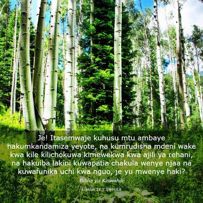 Picture 03 - Ezekieli 18:7 SWHULB - Je! Itasemwaje kuhusu mtu ambaye hakumkandamiza - Bible Verse Picture