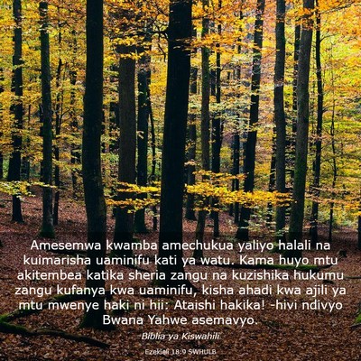 Picture 03 - Ezekieli 18:9 SWHULB - Amesemwa kwamba amechukua yaliyo halali na - Bible Verse Picture