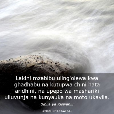 Picture 03 - Ezekieli 19:12 SWHULB - Lakini mzabibu uling'olewa kwa ghadhabu na - Bible Verse Picture