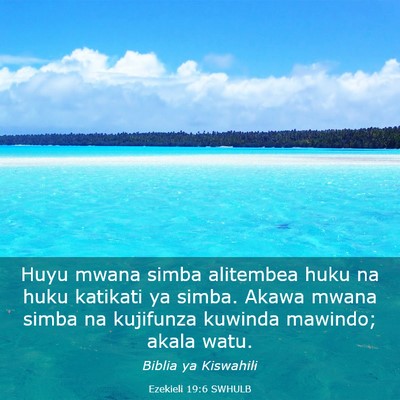 Picture 03 - Ezekieli 19:6 SWHULB - Huyu mwana simba alitembea huku na huku katikati - Bible Verse Picture