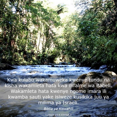 Picture 03 - Ezekieli 19:9 SWHULB - Kwa kulabu wakamuweka kwenye tundu na kisha - Bible Verse Picture