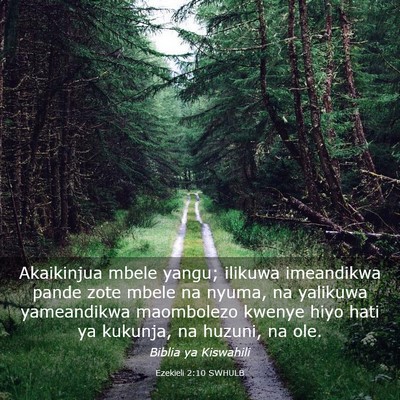 Picture 03 - Ezekieli 2:10 SWHULB - Akaikinjua mbele yangu; ilikuwa imeandikwa pande - Bible Verse Picture