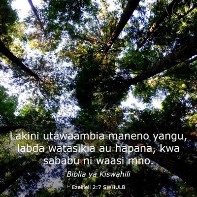 Picture 03 - Ezekieli 2:7 SWHULB - Lakini utawaambia maneno yangu, labda watasikia - Bible Verse Picture