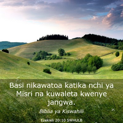 Picture 03 - Ezekieli 20:10 SWHULB - Basi nikawatoa katika nchi ya Misri na kuwaleta - Bible Verse Picture
