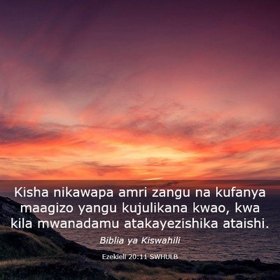 Picture 03 - Ezekieli 20:11 SWHULB - Kisha nikawapa amri zangu na kufanya maagizo - Bible Verse Picture